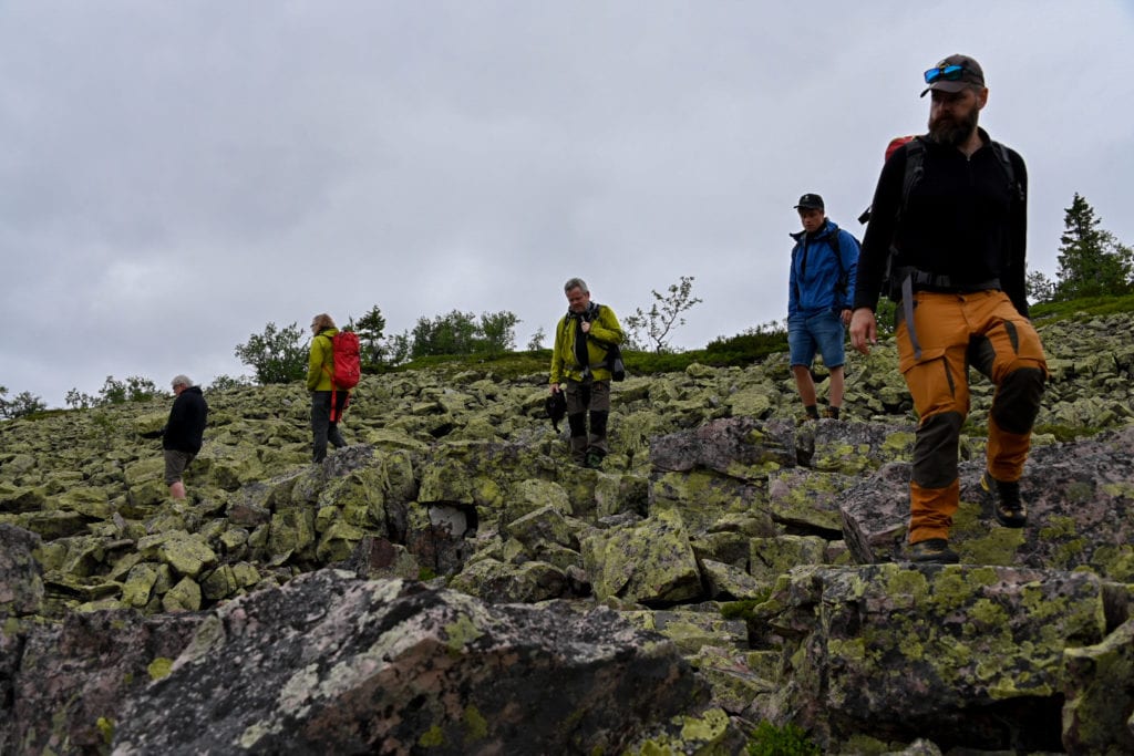 Geologer på tur i Fulufjellet nasjonalpark for å se på geologiske fenomener.